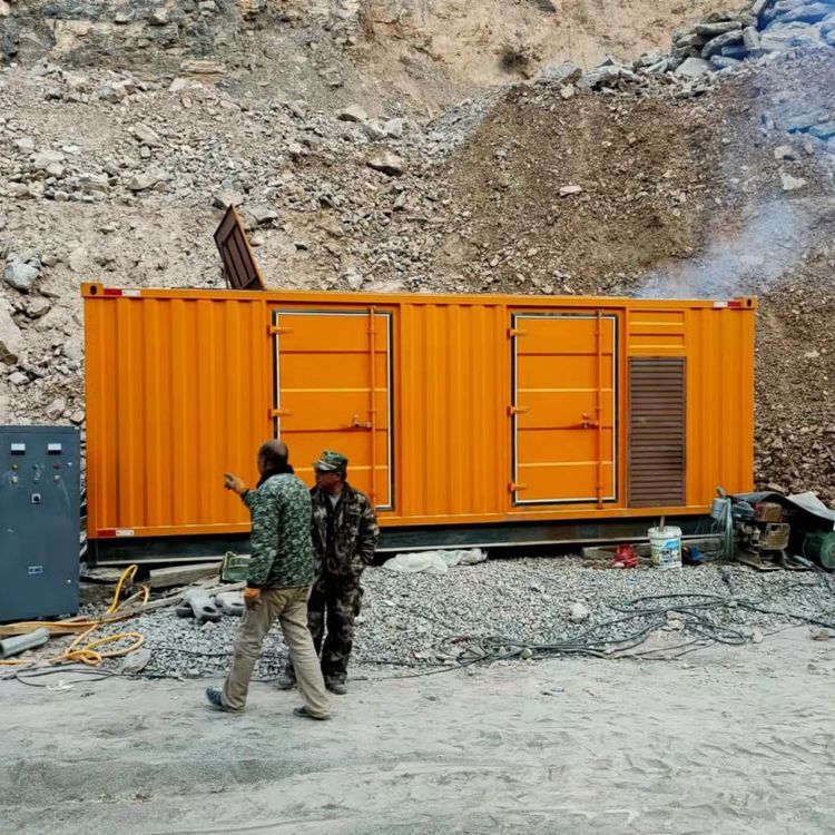 黎安镇如何选择适合自己的 800KW 柴油发电机组？